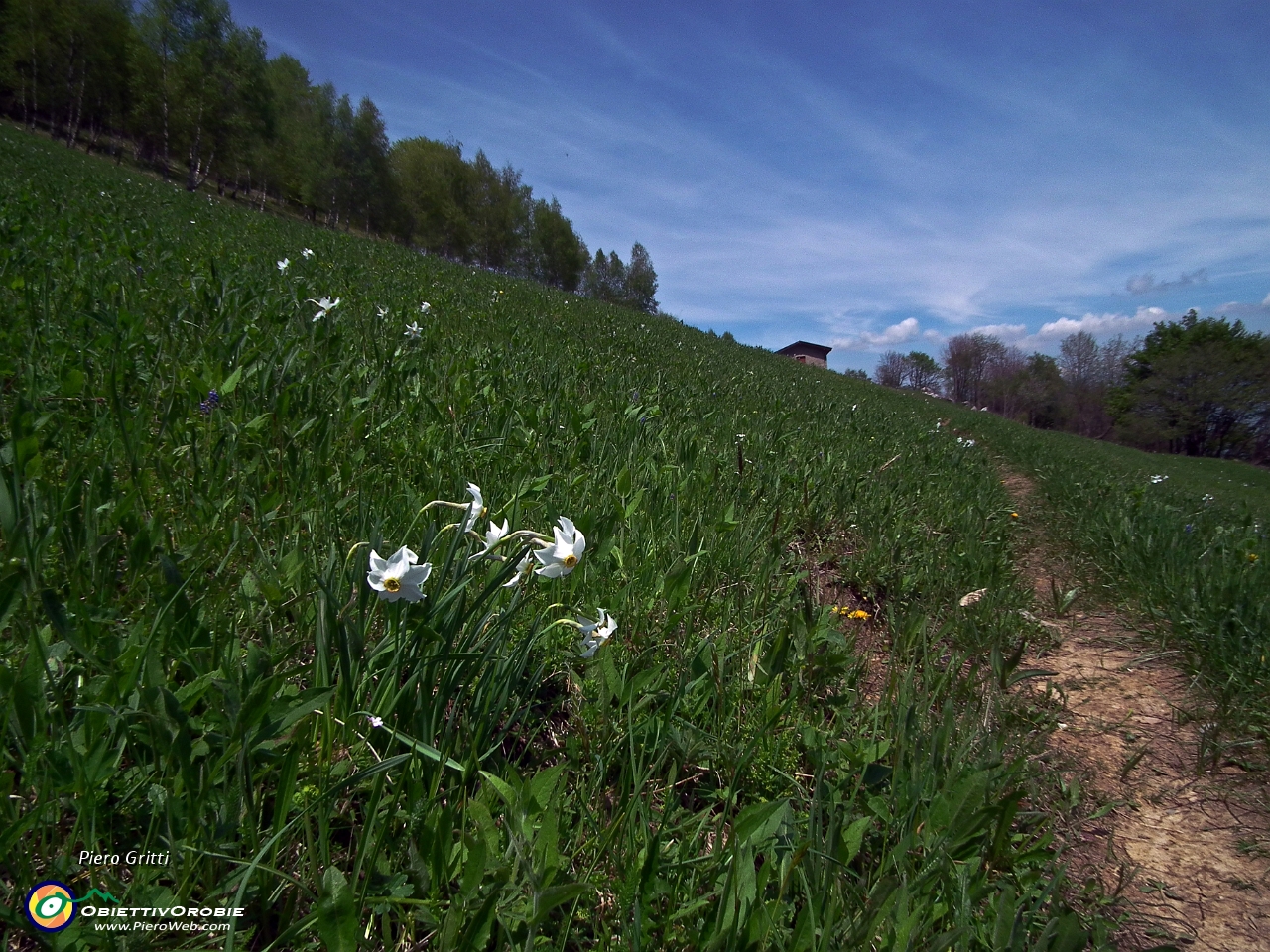 63 passaggio in cascina....JPG